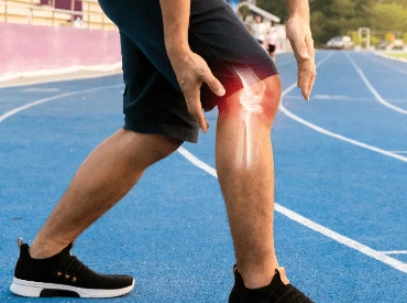 multi ligament